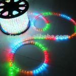 LED rope light (Round 2 Wire)/lamps DS-R2-RGB-LED RL