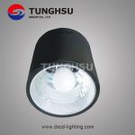 Low Power Induction Downlight Aluminum Fixture