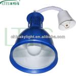 LTTS Ceilng Self-ballast Induction Lamp with 5 years warranty XDD007