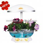 Mocle farm green vegetables and fruits producer factory direct MF5500-9119