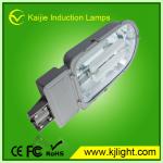 Outdoor induction lamps water proof street light VE_SL_8204