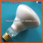 R95 FROSTED Bulb