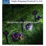 Solar LED outdoor decoration Light RG-CK-02