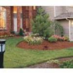 solar panels garden light GGE7302