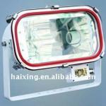 stainless steel flood halogen light
