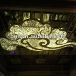 Star Field Lighting , Starry Ceiling Light Decoration , color changing fiber optic led light DS370