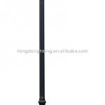 Tongde Electrodeless Induction lamp path light with CE&RoHS certificate IP65(F-18202)