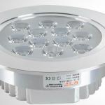 Warm White 12 W Led Ceiling Lights