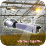 run for HPS lamps grow light kits 230V 600w electronic Ballast