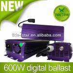 600W Hydroponics greenhouse Digital ballast