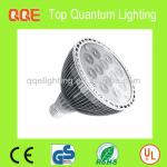 QQE 2013 hot slaes 12W E27 led par light