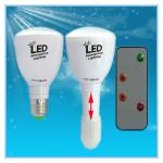 LED remote control lamp! 4w 340lms emergency charging lamp