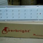 24 LED Emergency Light