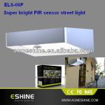 ELS-06P 2W solar light with Day/Night sensor waterproof and long life time-ELS-06P