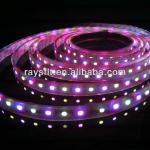 12v Waterproof IP65 rgbw led lighting 5050 strip