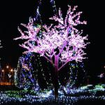 3456 led H: 3.5m led cherry blossom tree light/led tree lights