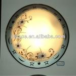 2013 New Design Cheap E27 Metal Base Glass Ceiling Light