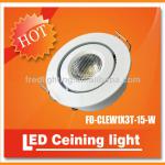 Surface Mounted LED Ceiling Light 3W 12V or 24V Warm White with CE Rohs from FREDLIGHTING