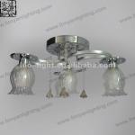 2013 New style metal ceiling lamp led modern