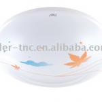 TNV-XY 20W Ceiling Lamp