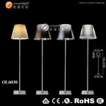 decorative floor lamp,floor lamp for room OL6030