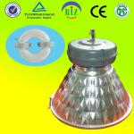 induction factory light with TUV-CB