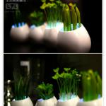 SPG1066 Potted Plants LED night light