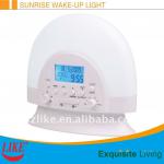 LED sunrise radio alarm clock with nature sounds, date and calendar function