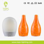 3000 K 12 V 1.5 W LED Floor Lamps Contemporary TML-G01