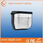 IP65 New type high quality waterproof led bulkheads video ml wall pack lights