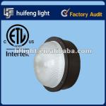 Borosilicate Diffuser Metal Halide Wall Pack Light