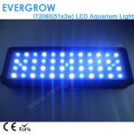 Evergrow IT2060 51x3w Programme Auto Dimmable Marine Aquarium LED Lighting-IT2060