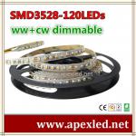 dimmable led strip for advertisement ww+cw 3528 120LEDs