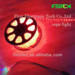 car, hotel decoration light.led rope light