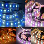 IP67 RGBW 5630 Led Strip