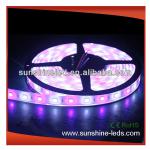 SMD3528 5050 5630 3328 rgbw/rgba led strip with CE