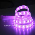 SMD flexible led strip, IP65 waterproof led strip