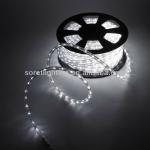 2wire round/3wire flat flexible Led rope light