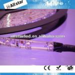 2 years warranty RoHS CE 3528 waterproof factory price strip led