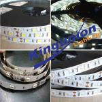 China Factory Sale 5050 IP65 RGB LED Strip