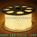 LED light 110-240v AC SMD5050 60led/M 100m/Roll Waterproof flexible 220v 5050 led strip