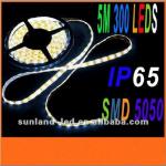 White/ Warm white 5M LED Strip Light SMD5050 300 LED Lights DC12V 14.4W/M IP65 2013 best-selling waterproof smd LED Strip