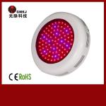 China Cheap led grow light 24w 90w 112w 288w led plant grow light