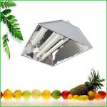 400W 500W induction super new grow light high power bi-spectrum induction grow light