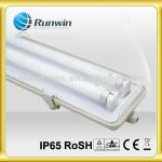 Fluorescent light T8