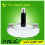 Energy saving compact fluorescent magnetic induction lamp