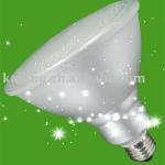 Energy Saving Lamp -PAR38