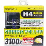 H4 rainbow yellow auto bulb