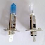 durable and cheap h1 halogen lamp (12v 70w)