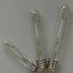 High pressure sodium lamp